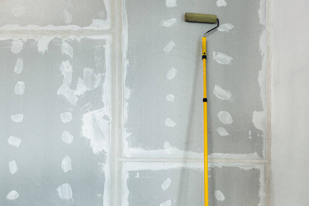 Best Drywall Sanding and Smoothing  in Westwego, LA